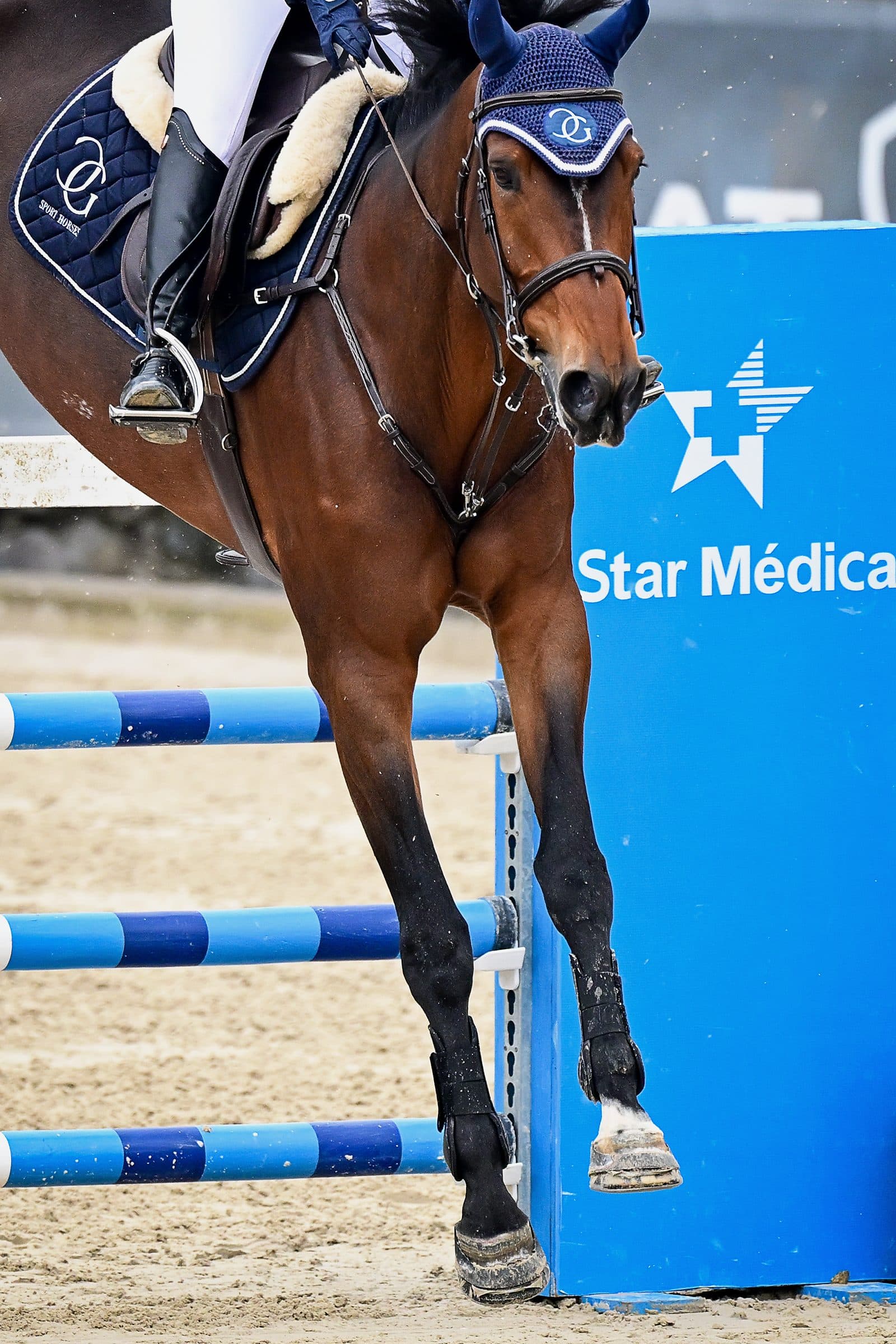 Caballo castaño junto al ala azul de Star Médica de un obstáculo; solo se ve la pierna del jinete.